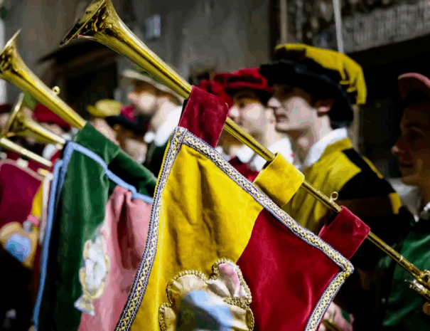 pallio5