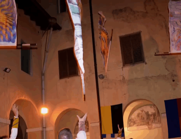 pallio6