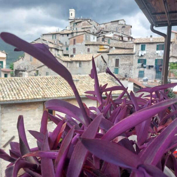 visuale-paese-stanza7-2